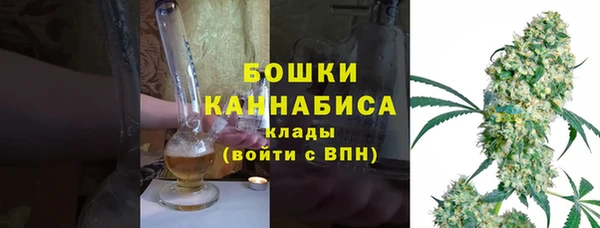 Альфа ПВП Аркадак