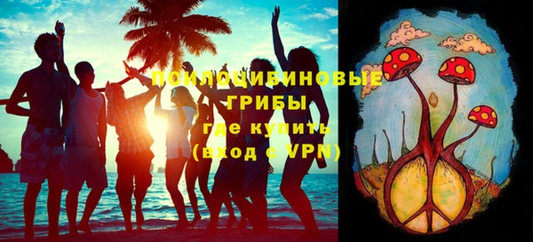 прущий лед Арсеньев