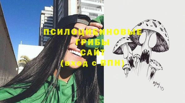 прущий лед Арсеньев
