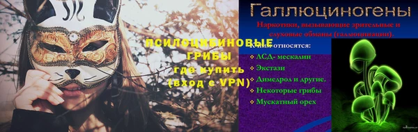 Альфа ПВП Аркадак