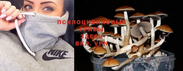 Альфа ПВП Аркадак