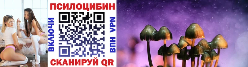 blacksprut зеркало  Аша  Псилоцибиновые грибы Psilocybine cubensis  купить  